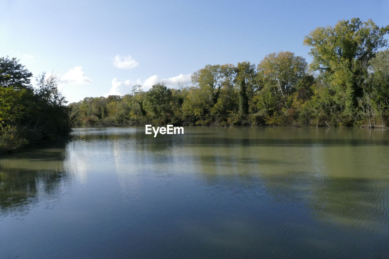 SCENIC VIEW OF LAKE AGAINST TREES IN FOREST