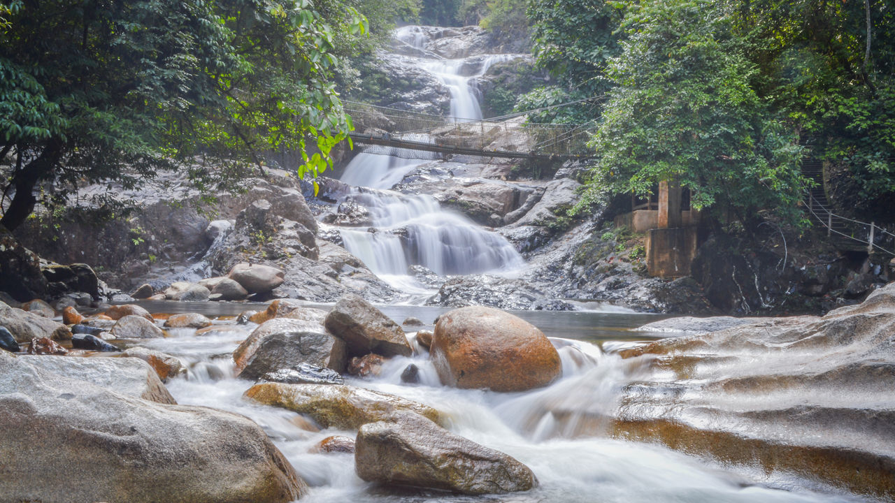 SCENIC VIEW OF WATERFALL IN FOREST