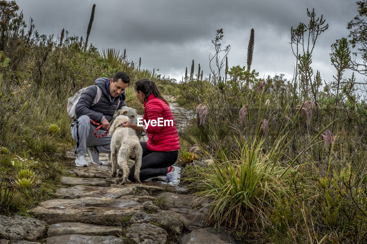 Young couple taking care of dogs in stone pathway outdoor  hiking activity