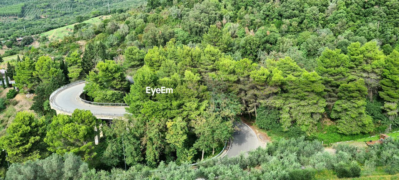 plant, green, tree, vegetation, growth, forest, beauty in nature, high angle view, nature, scenics - nature, rainforest, day, tranquility, land, aerial photography, no people, foliage, lush foliage, environment, tranquil scene, natural environment, landscape, non-urban scene, outdoors, transportation, mountain, idyllic, road, jungle, water, valley, hill station, aerial view, travel, nature reserve, remote, bird's-eye view