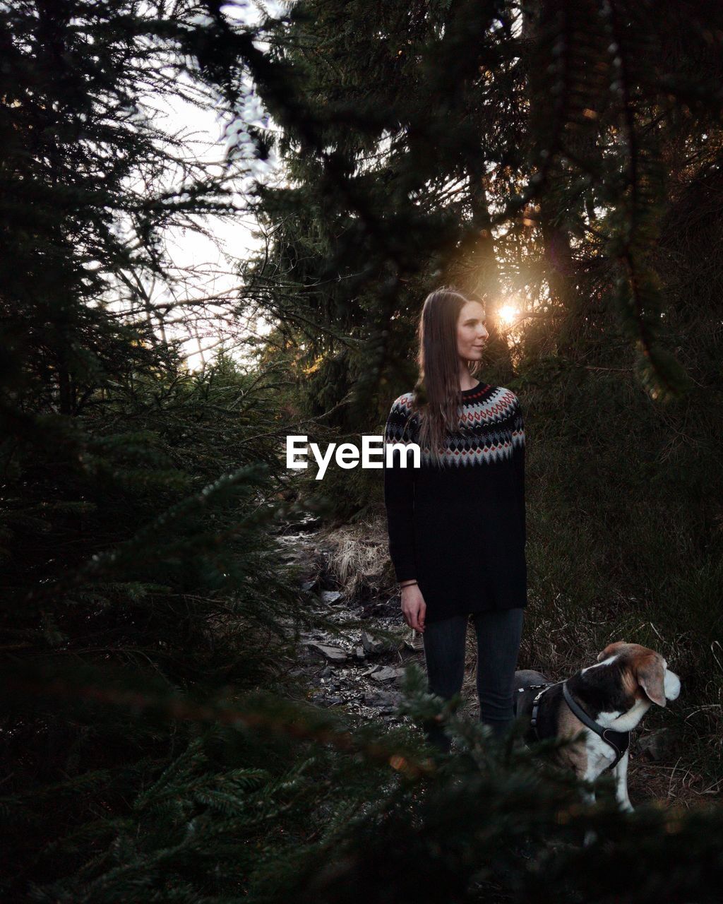 Woman with dog standing amidst trees in forest