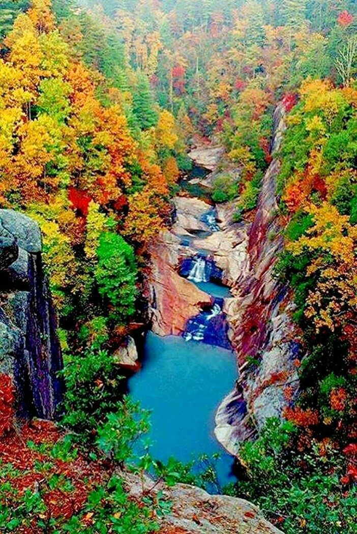 WATERFALL IN FOREST