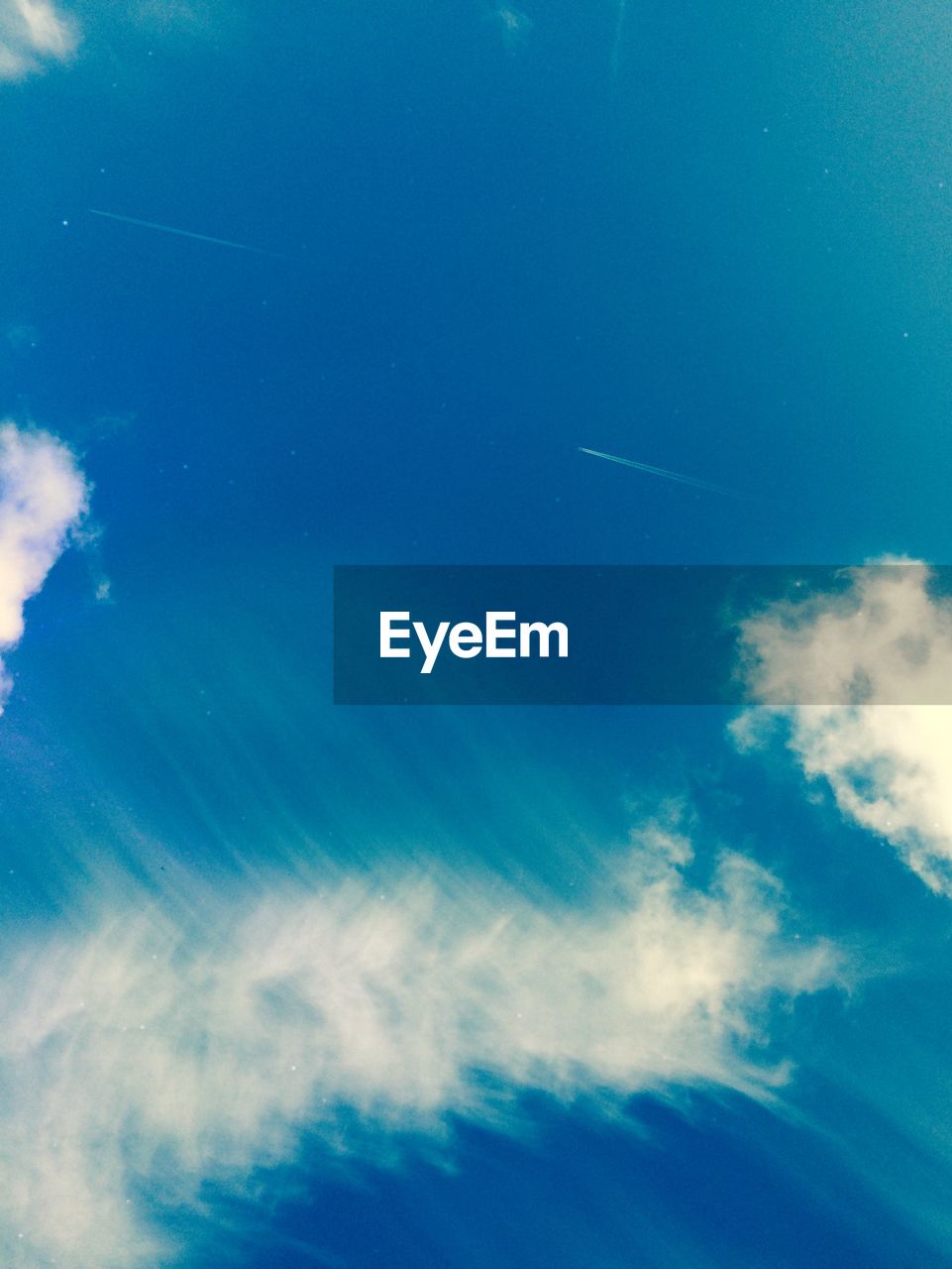 LOW ANGLE VIEW OF TREES AGAINST BLUE SKY