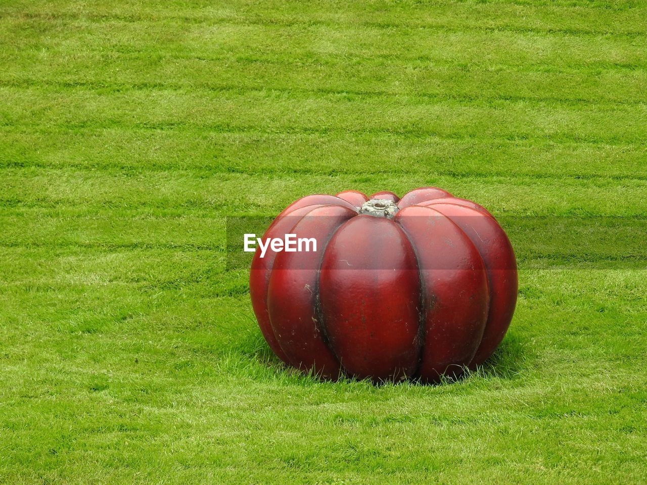 Sculpture of a red pumpkin on the grass