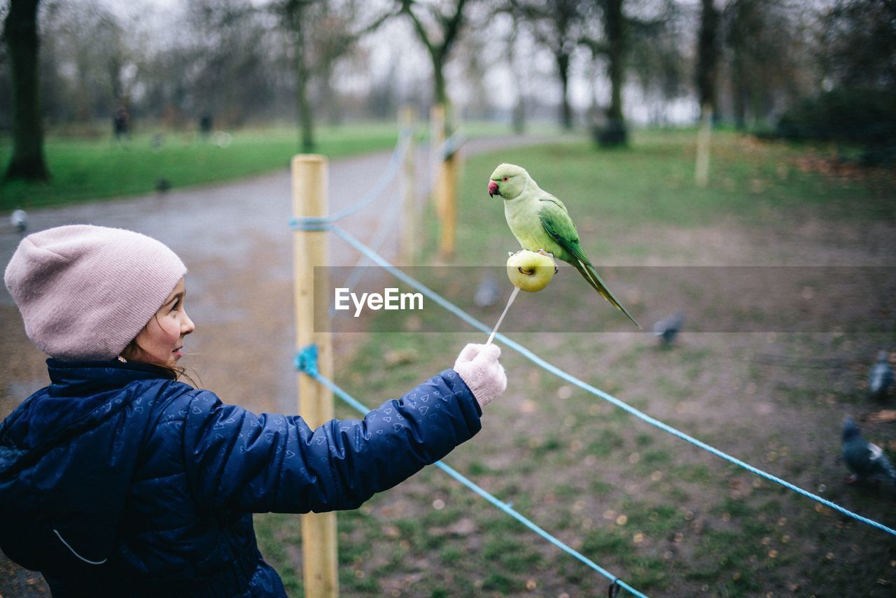 MAN HOLDING A BIRD