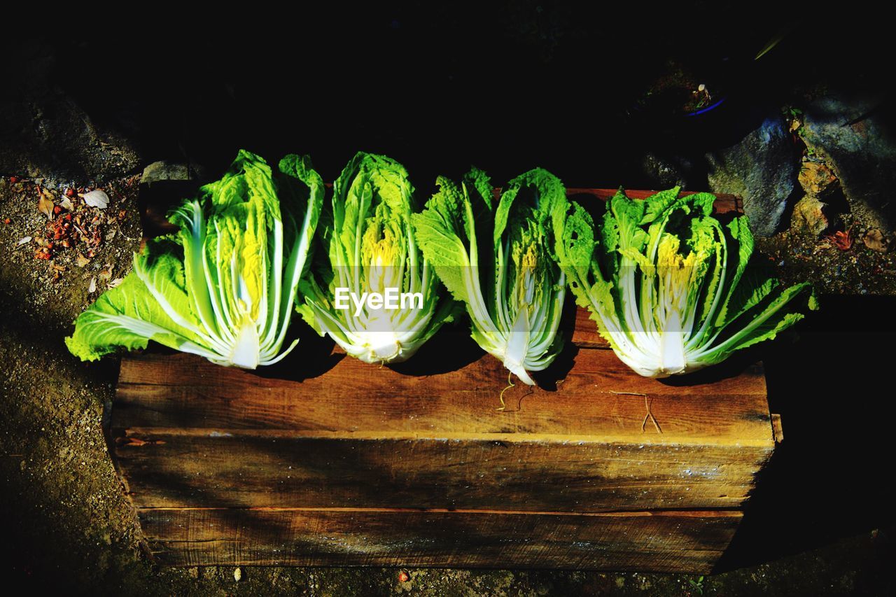 High angle view of bok choy on wooden table