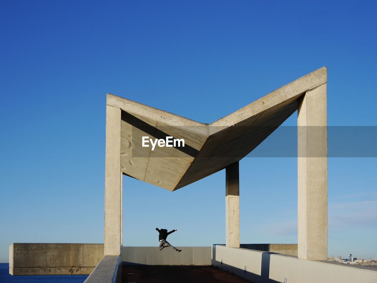 LOW ANGLE VIEW OF BIRDS AGAINST CLEAR SKY