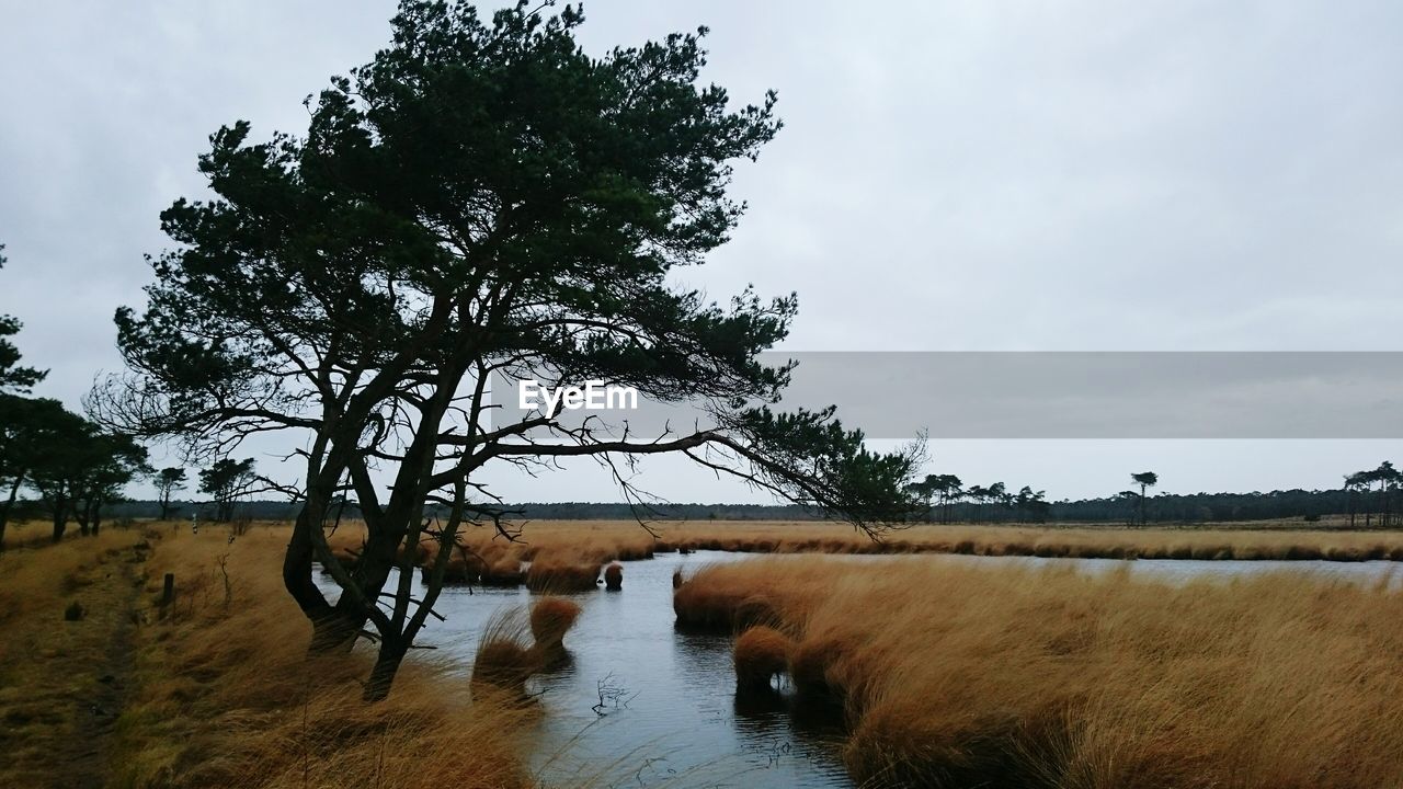 Scenic view of landscape against cloudy sky