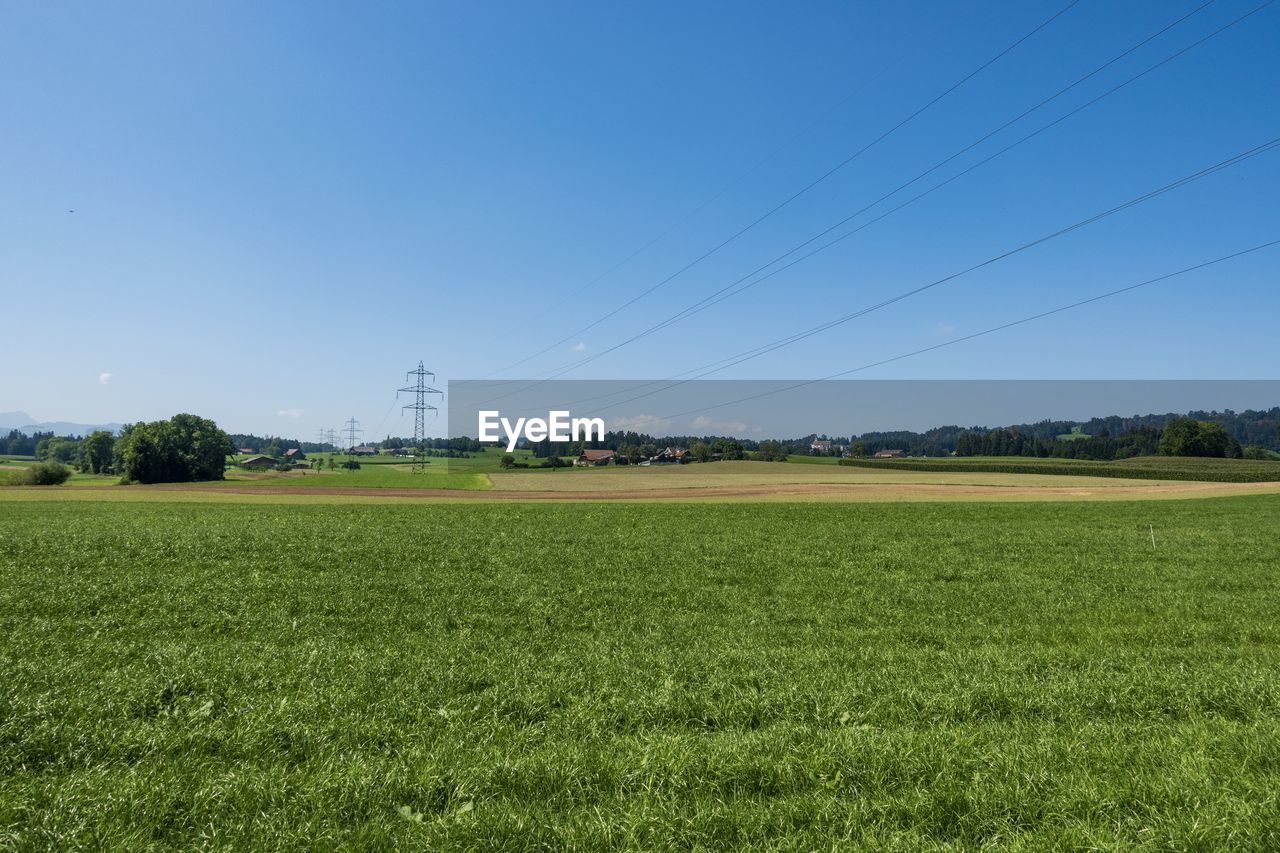 Scenic view of field against clear sky