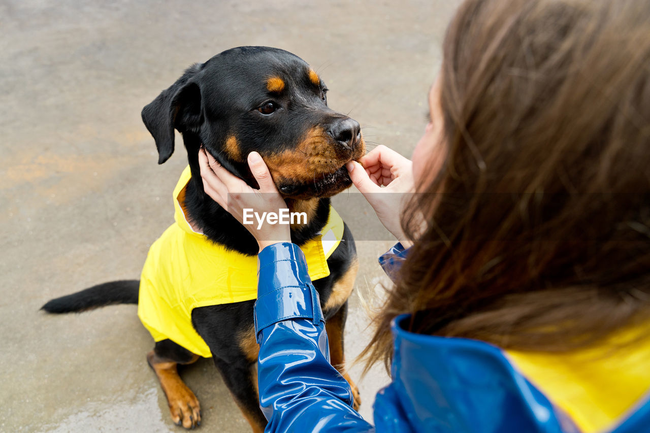 Woman wearing raincoat feeding dog on street