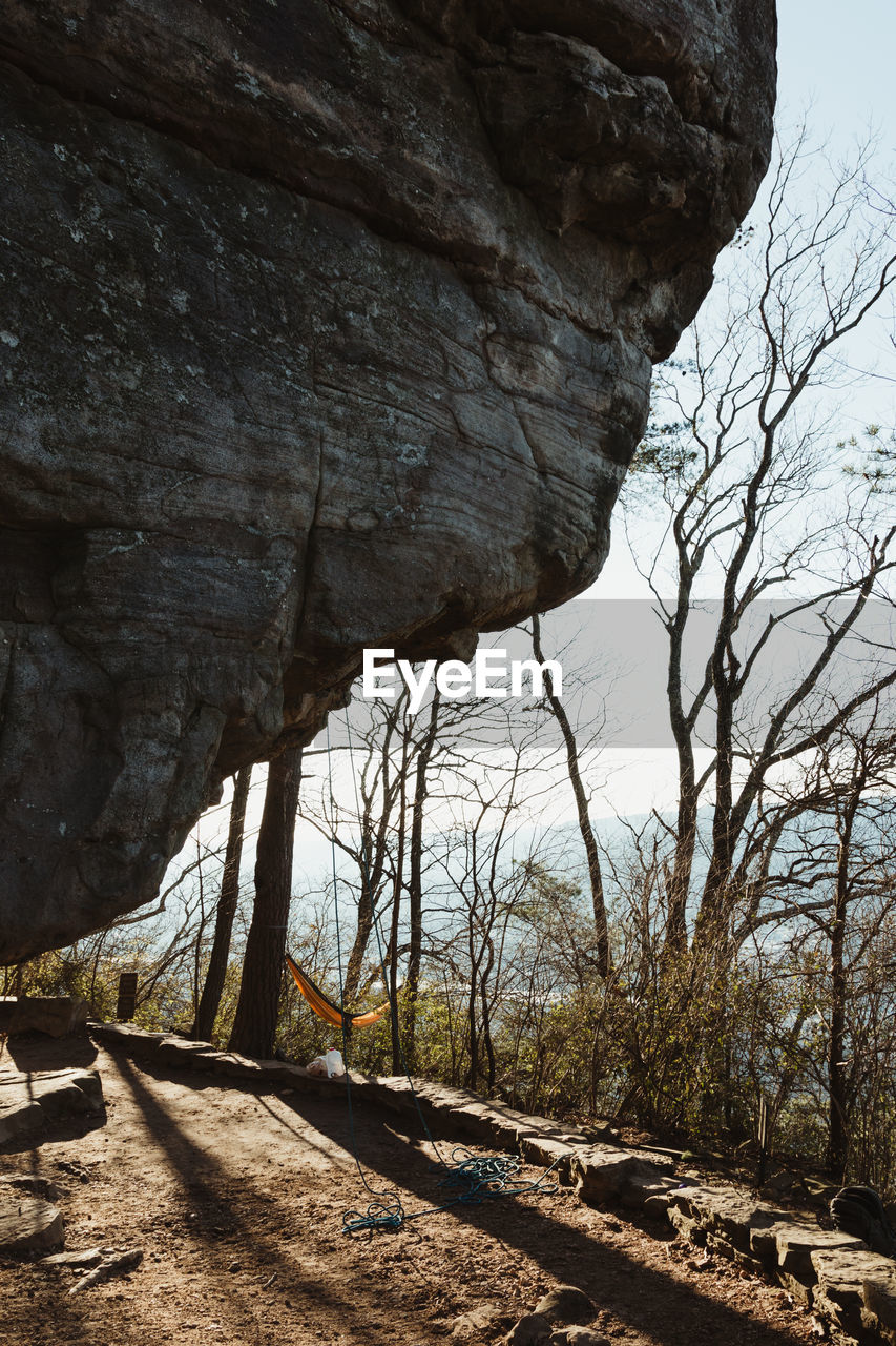BARE TREES ON ROCK FORMATION