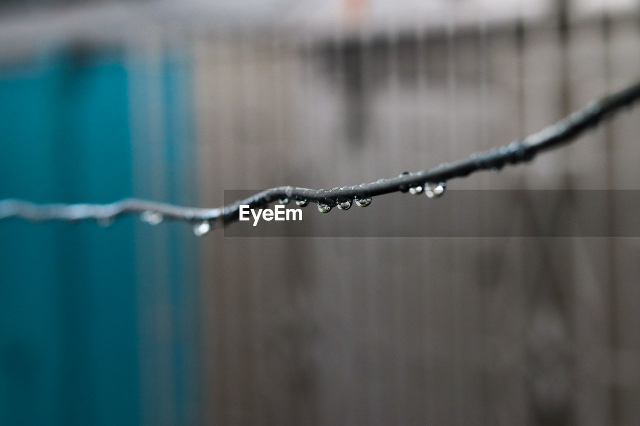 Close-up of water drops on metal fence during rainy season