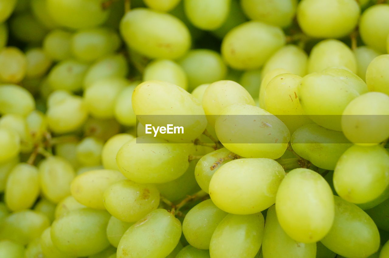 FULL FRAME SHOT OF FRUITS FOR SALE