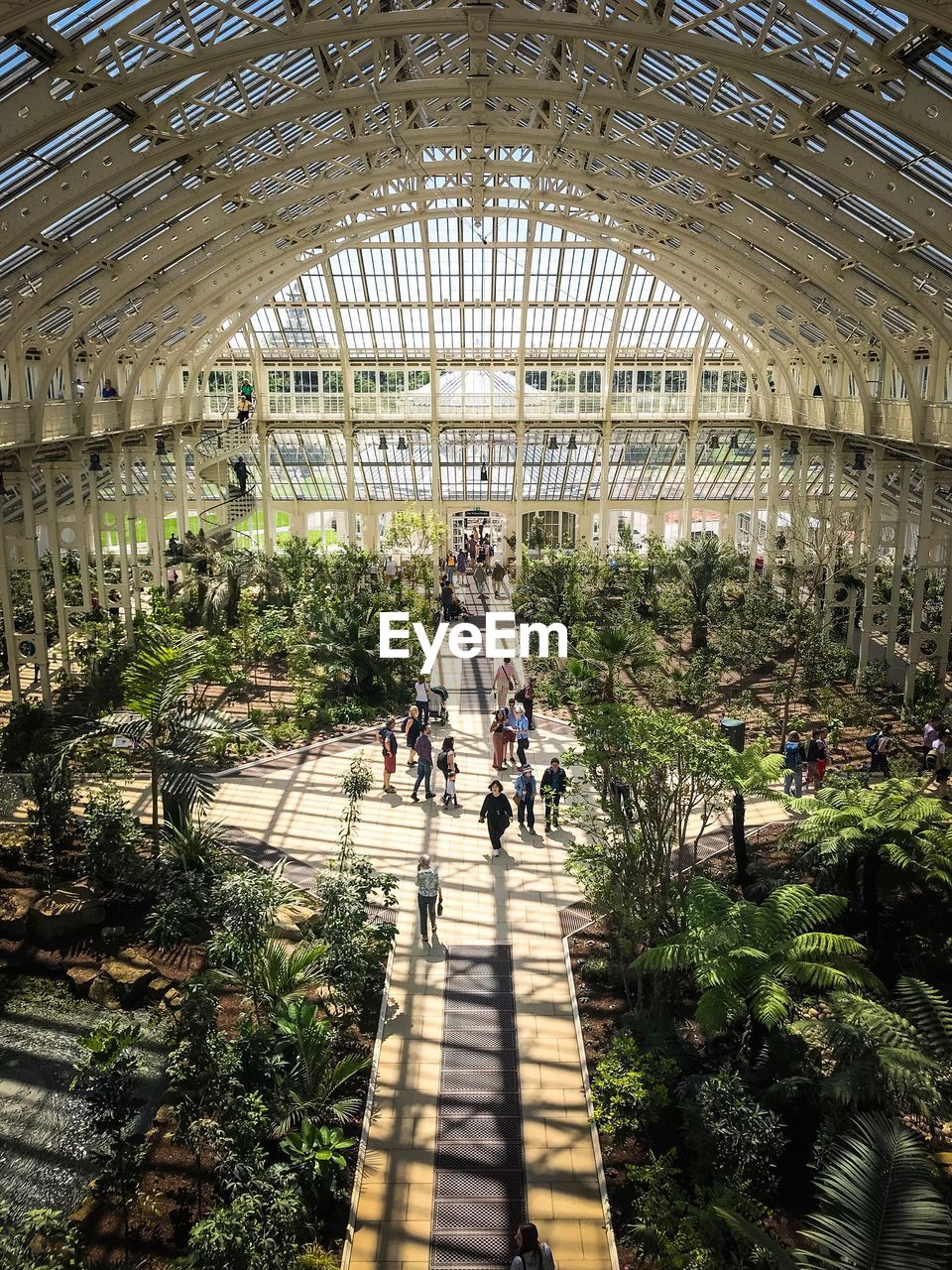 High angle view of people in greenhouse