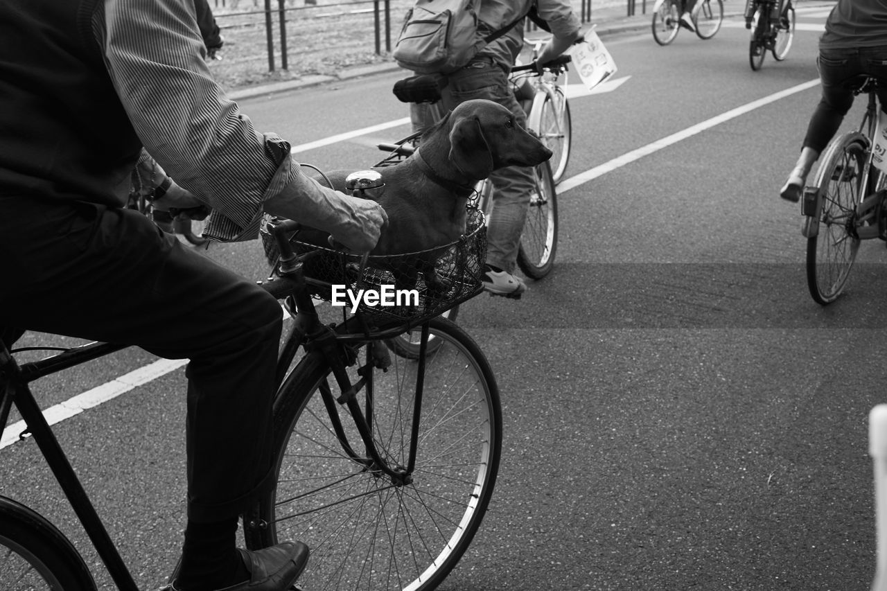 Low section of people riding bicycle on road