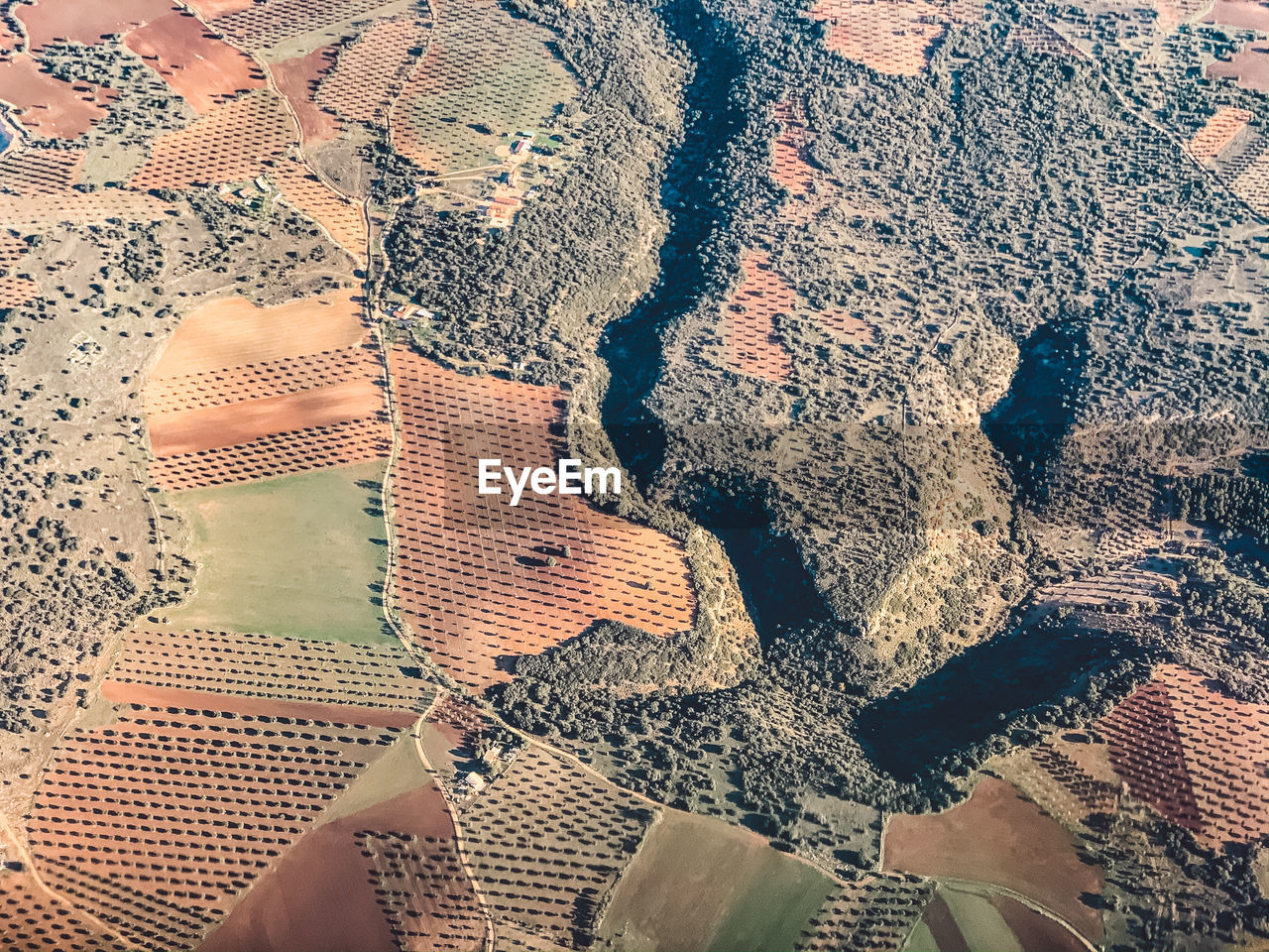 Aerial view of cultivated land 