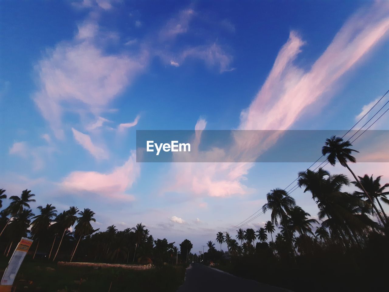 LOW ANGLE VIEW OF SILHOUETTE PALM TREES AGAINST SKY DURING SUNSET