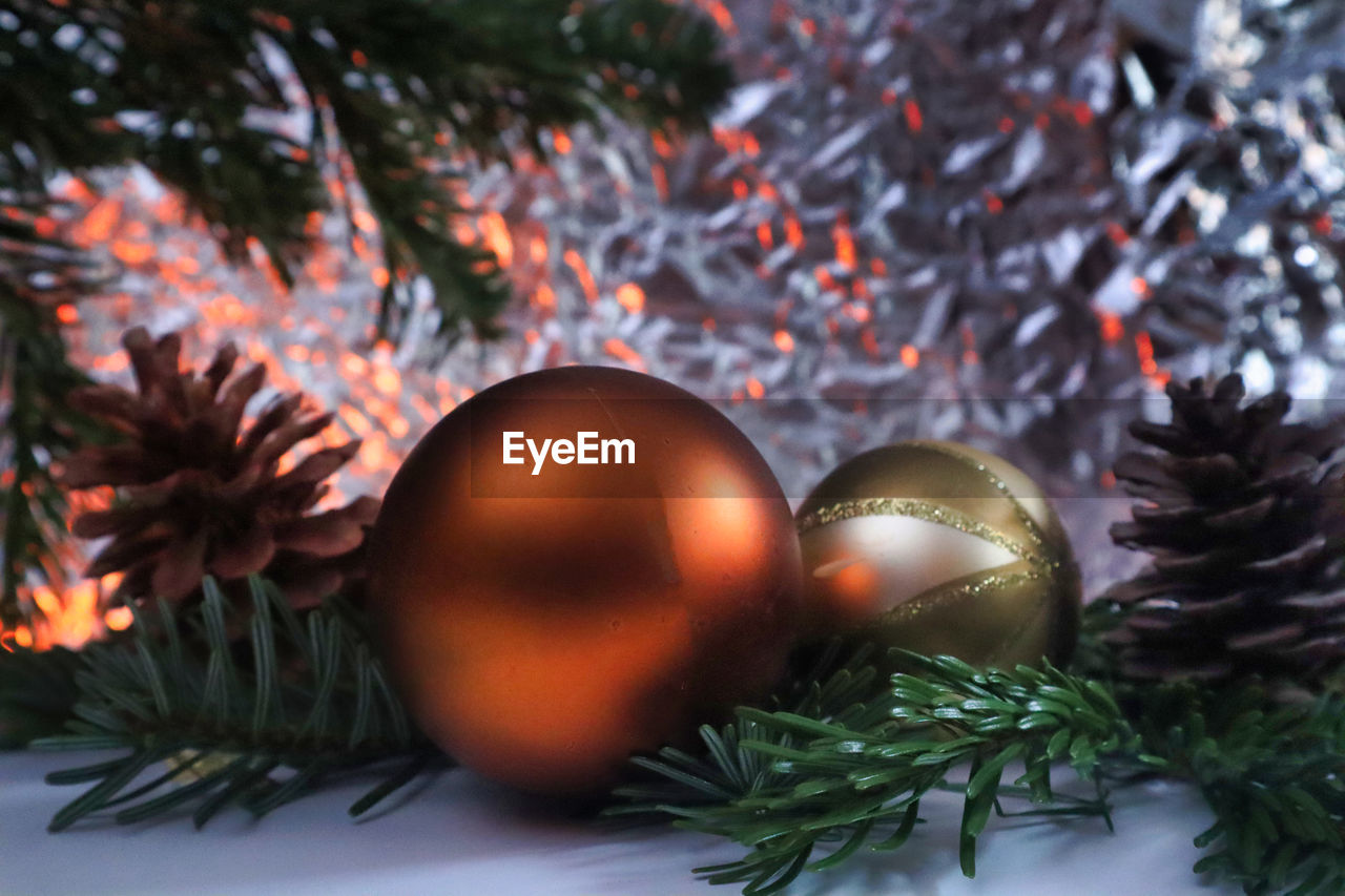 Close-up of christmas tree