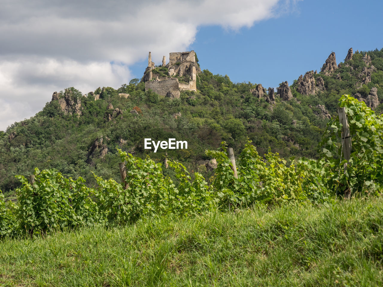 Dürnstein at the danbue river