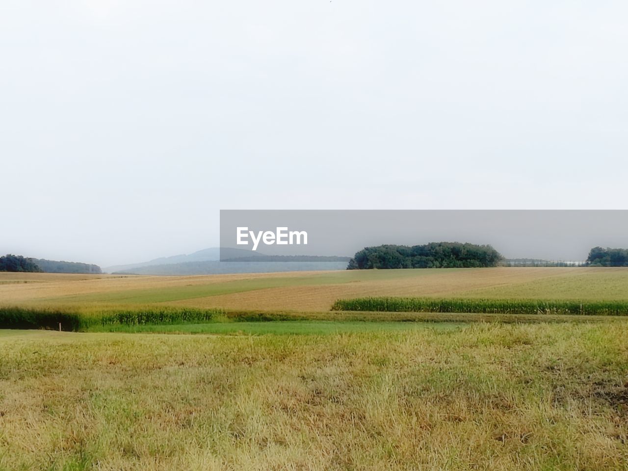 SCENIC VIEW OF LAND AGAINST CLEAR SKY