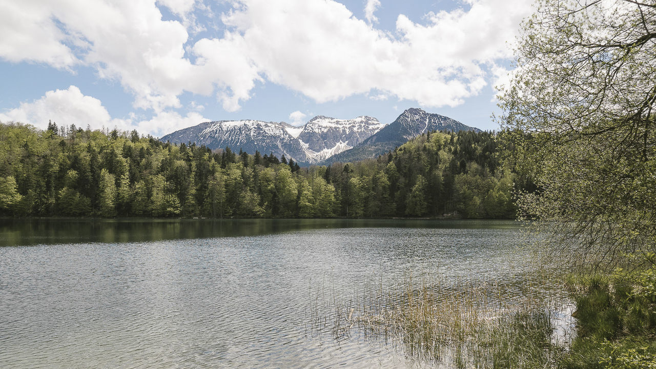 Scenic view of lake alatsee against sky at allgau