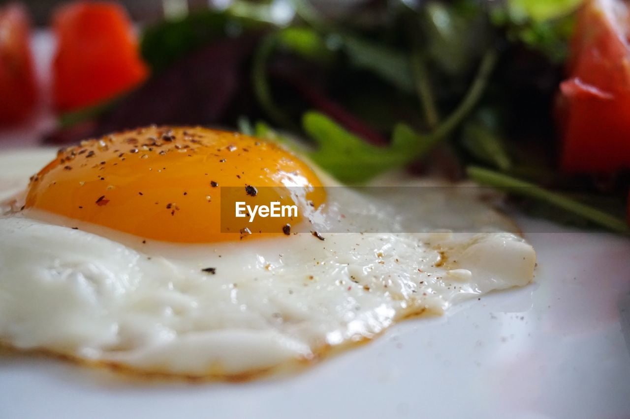 Close-up of breakfast served in plate