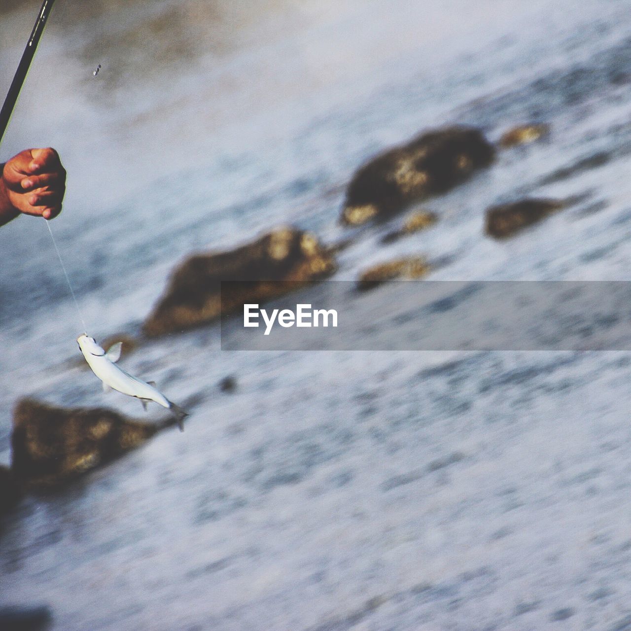 View of person fishing