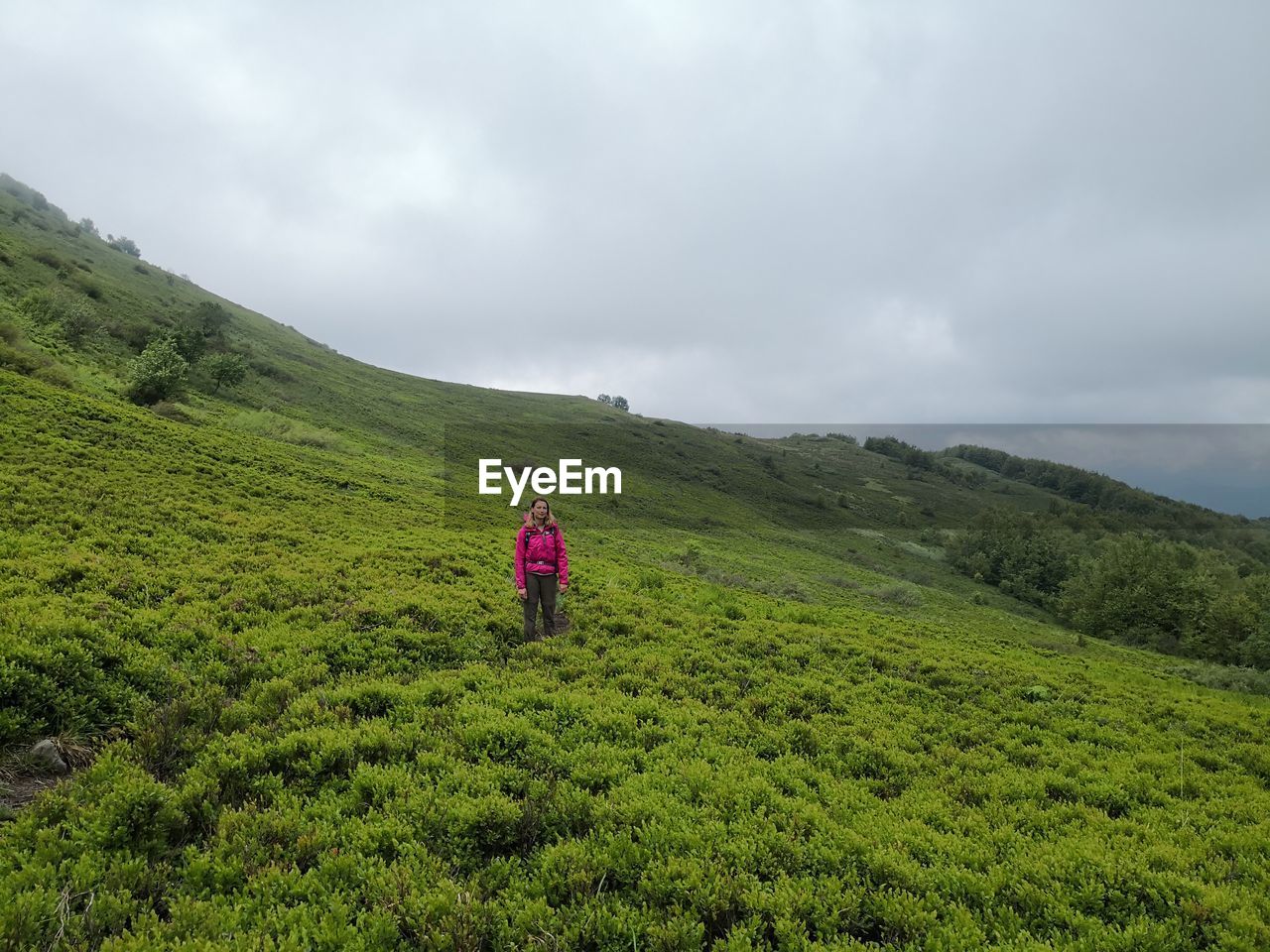 REAR VIEW OF PERSON ON GRASSY FIELD