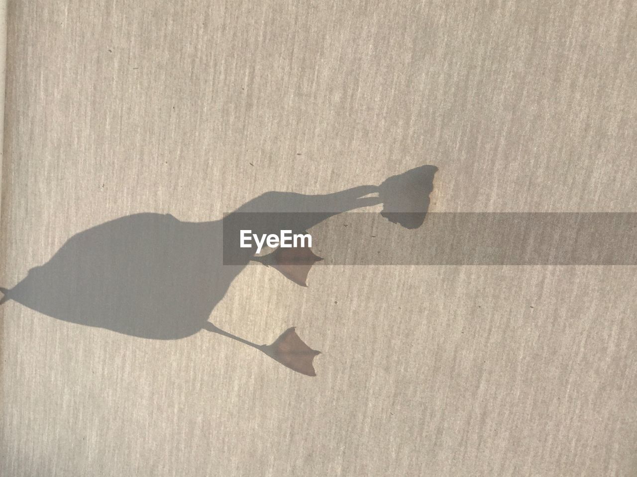 LOW SECTION OF MAN SHADOW ON SAND