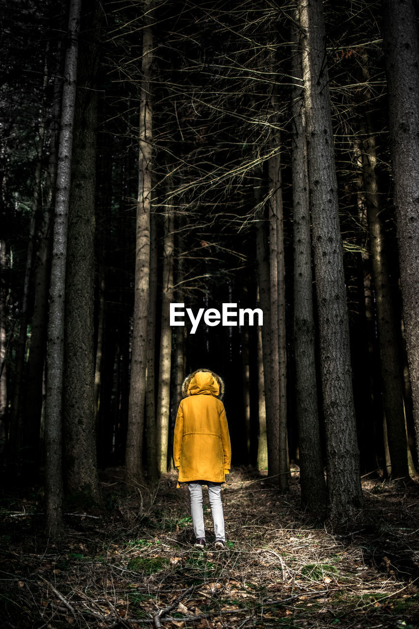 Rear view of woman standing by trees in forest