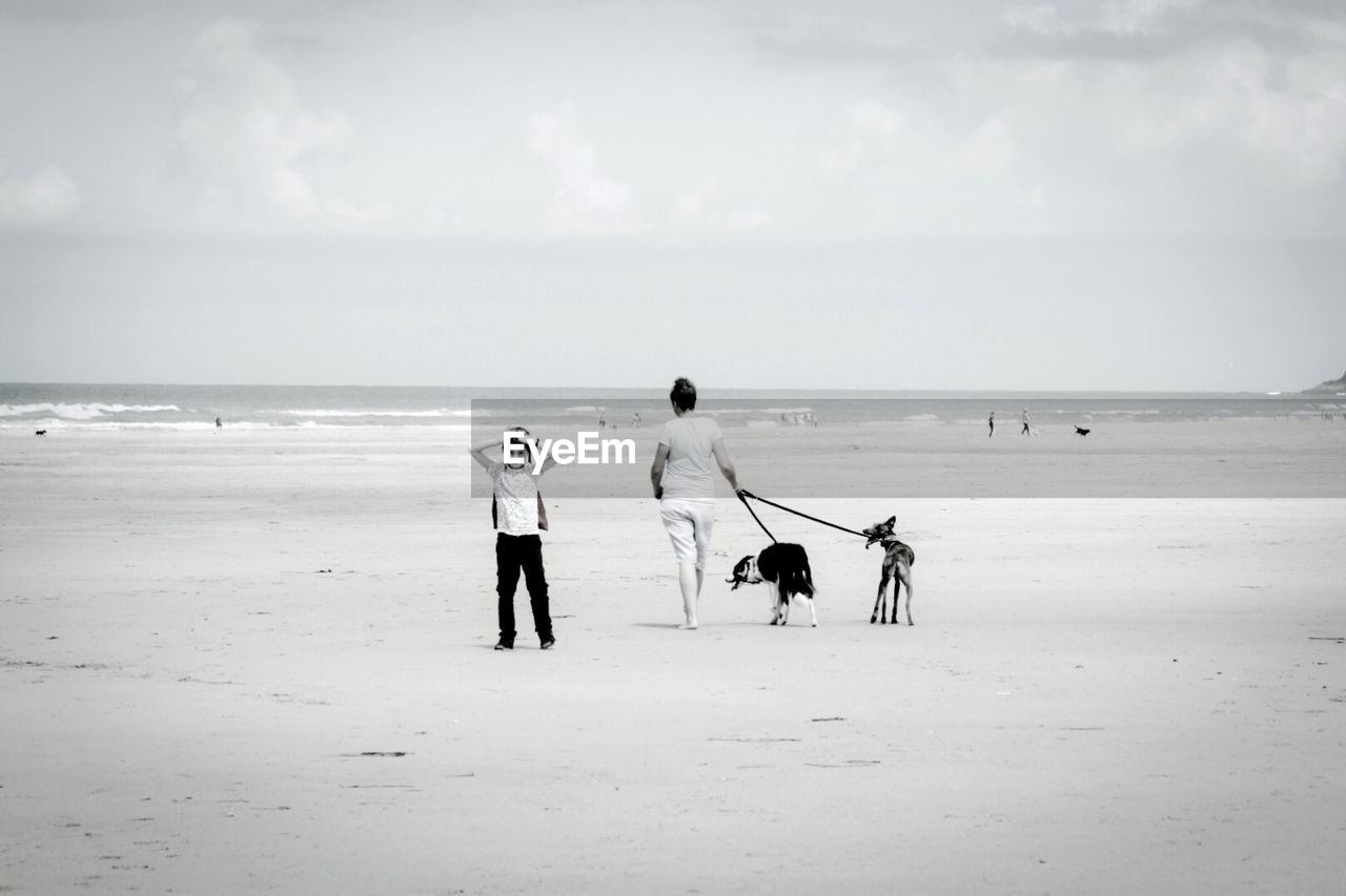 Boy standing by woman with dogs walking on beach