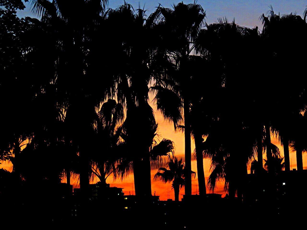 Scenic view of sky during sunset 