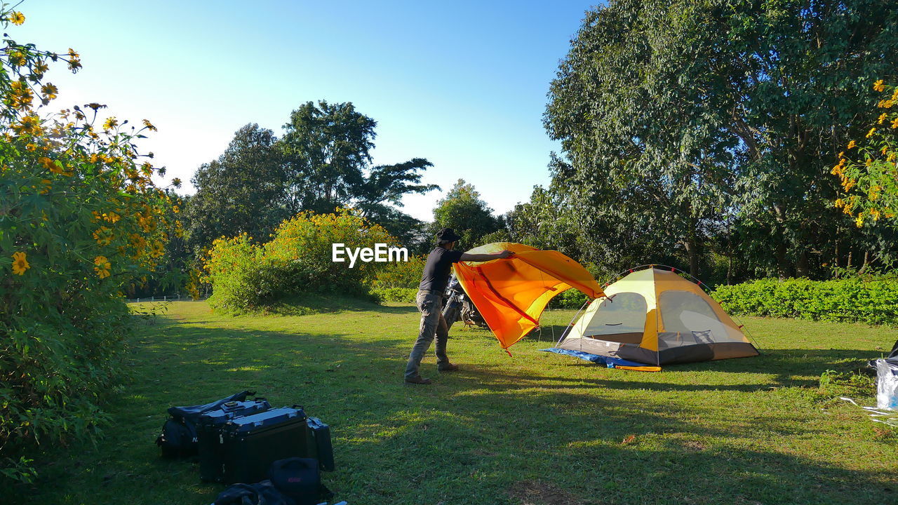 Man placing tents on grassy land in forest
