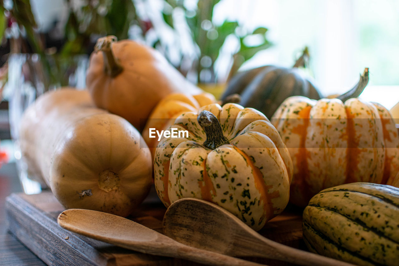 CLOSE-UP OF PUMPKINS ON TABLE AGAINST TREES