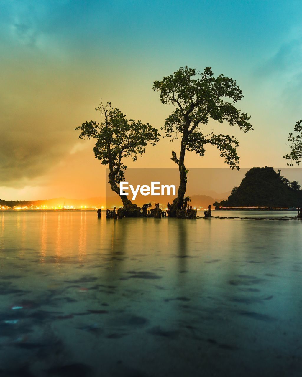 Silhouette trees by sea against sky during sunset