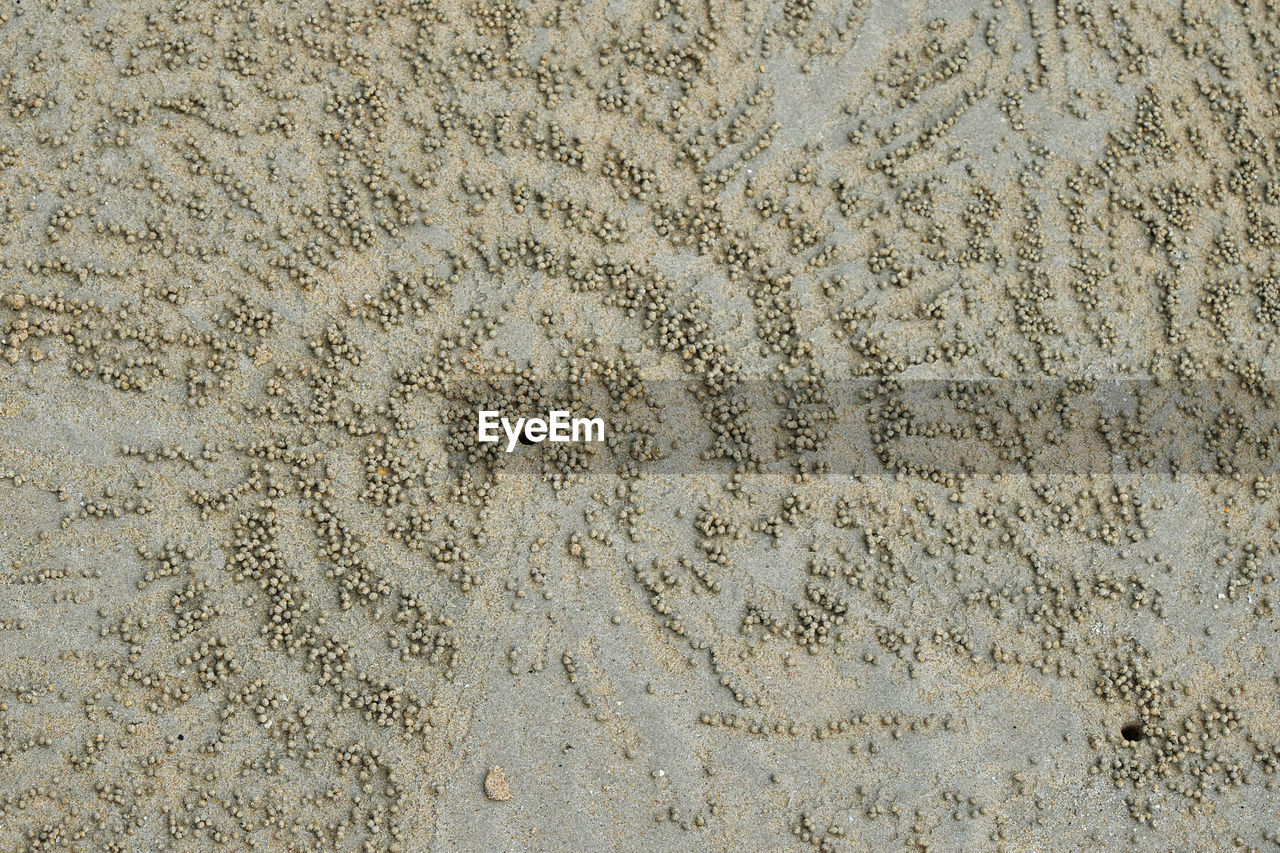 High angle view of crab holes on sand