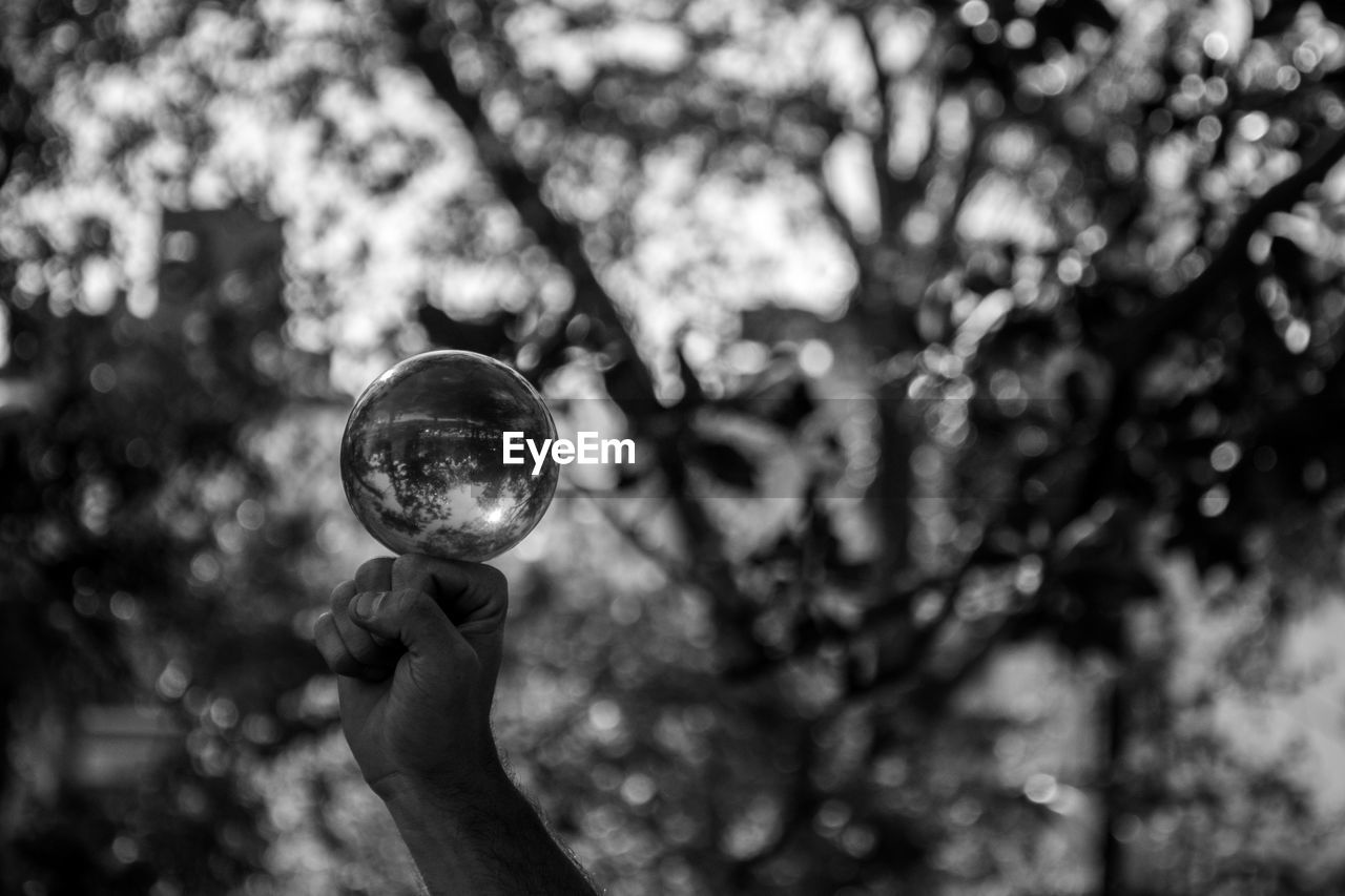 Close-up of hand holding crystal ball