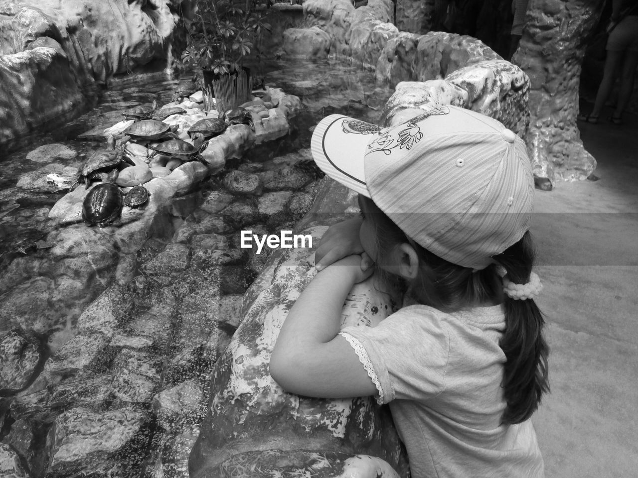 Girl wearing cap looking at turtles in zoo