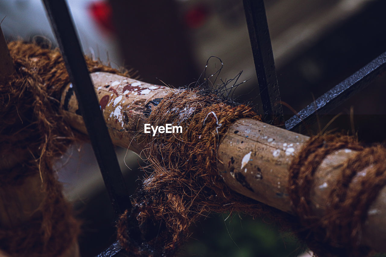 Close-up of rope tied on wood