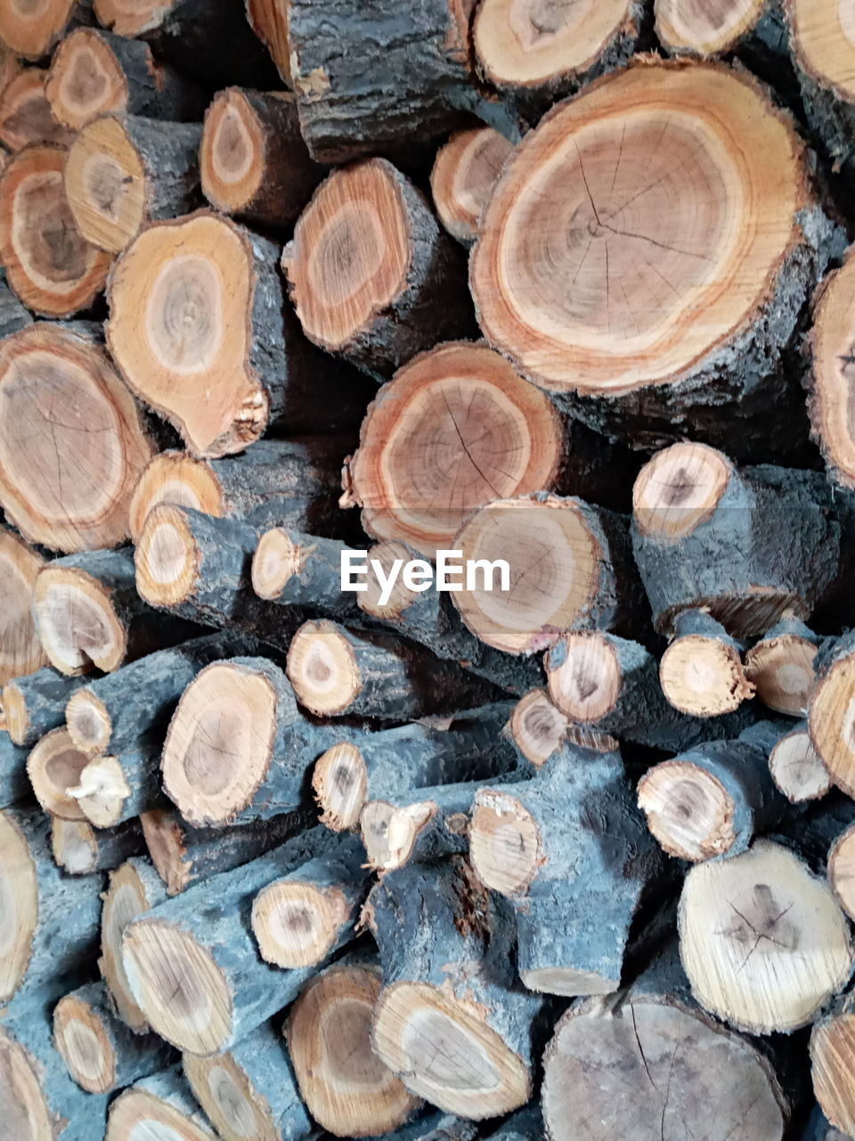 Full frame shot of logs in forest