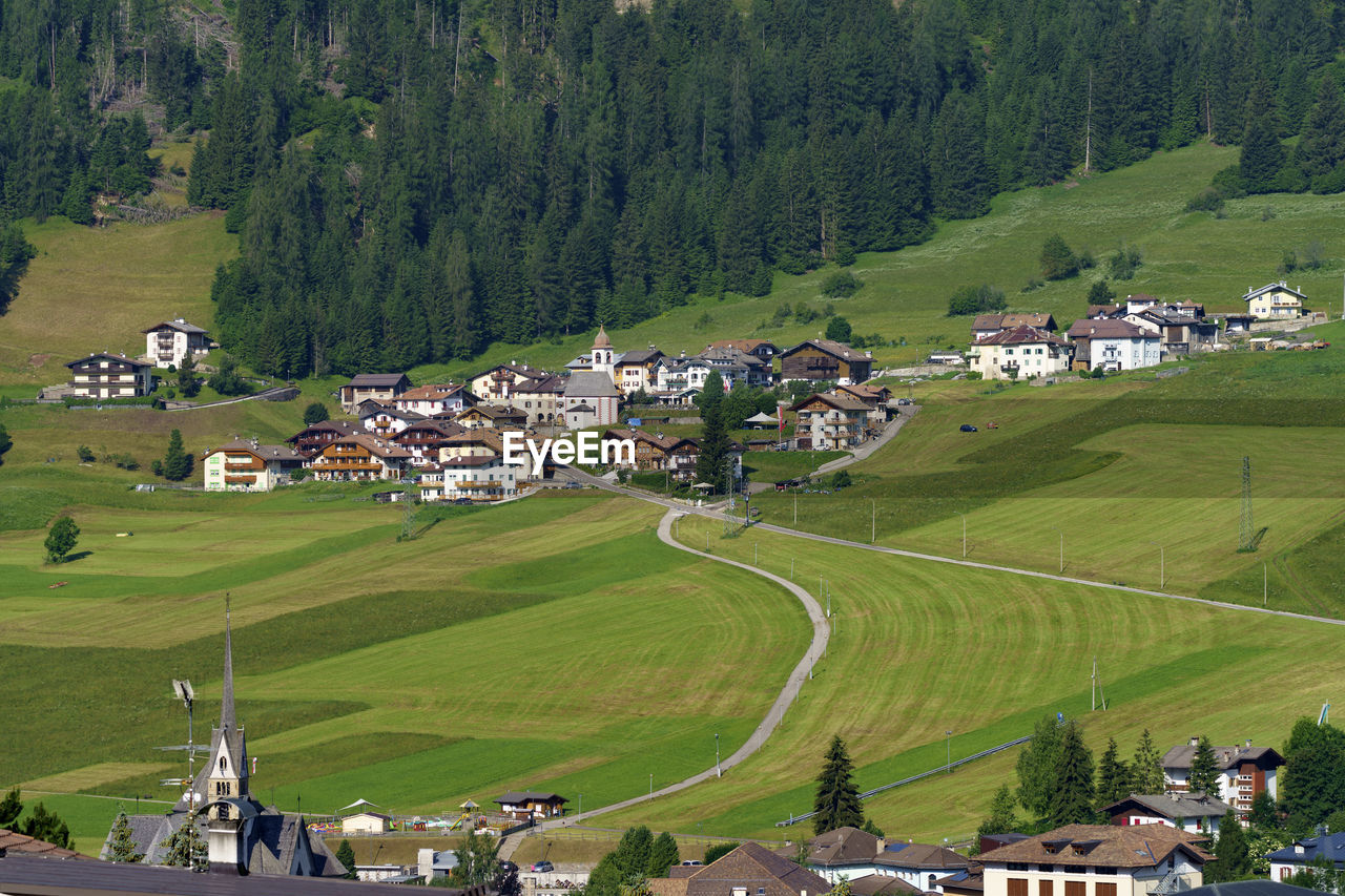 HIGH ANGLE VIEW OF HOUSES ON FIELD BY TREES