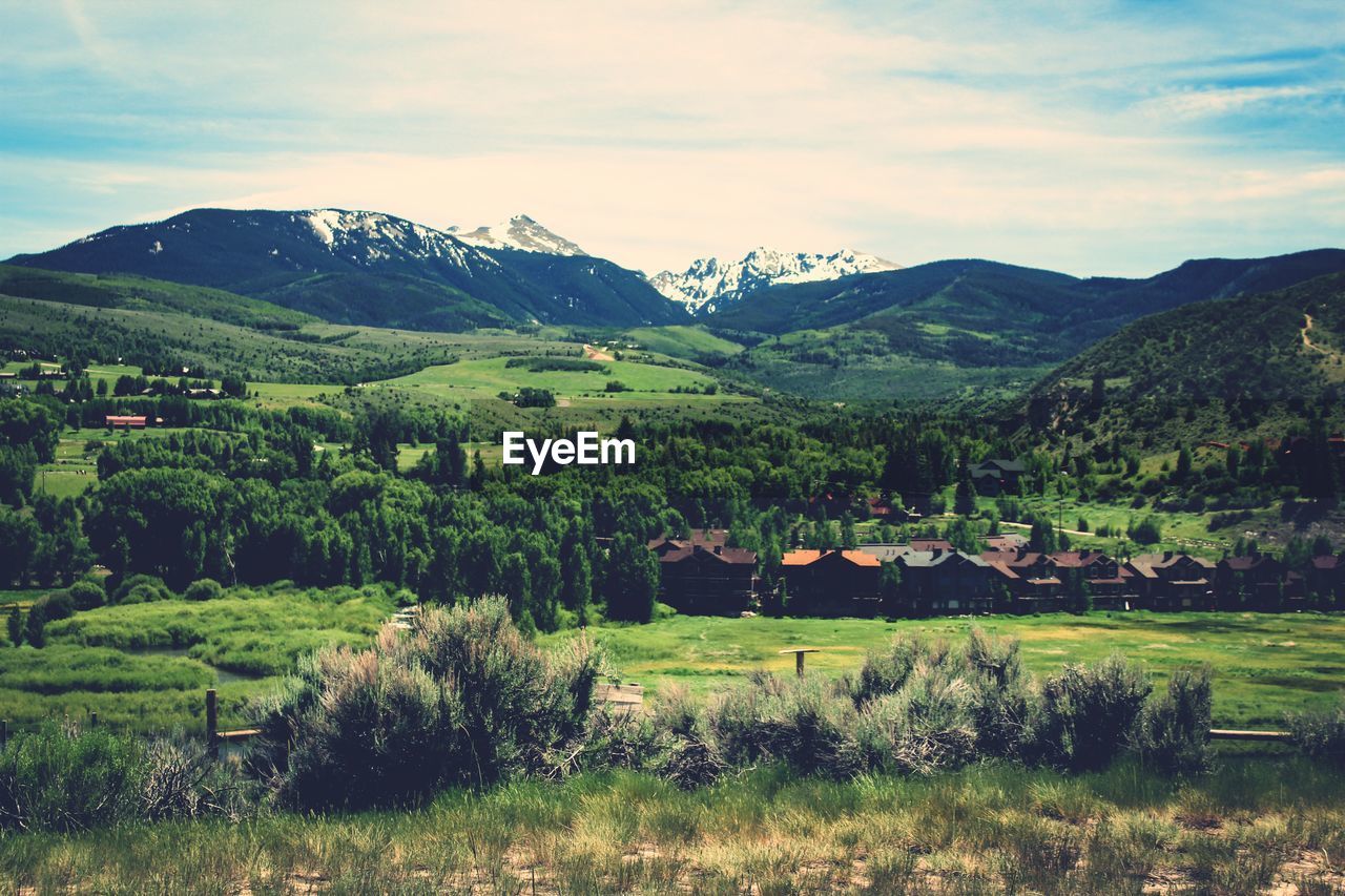 Scenic view of trees and mountains against sky