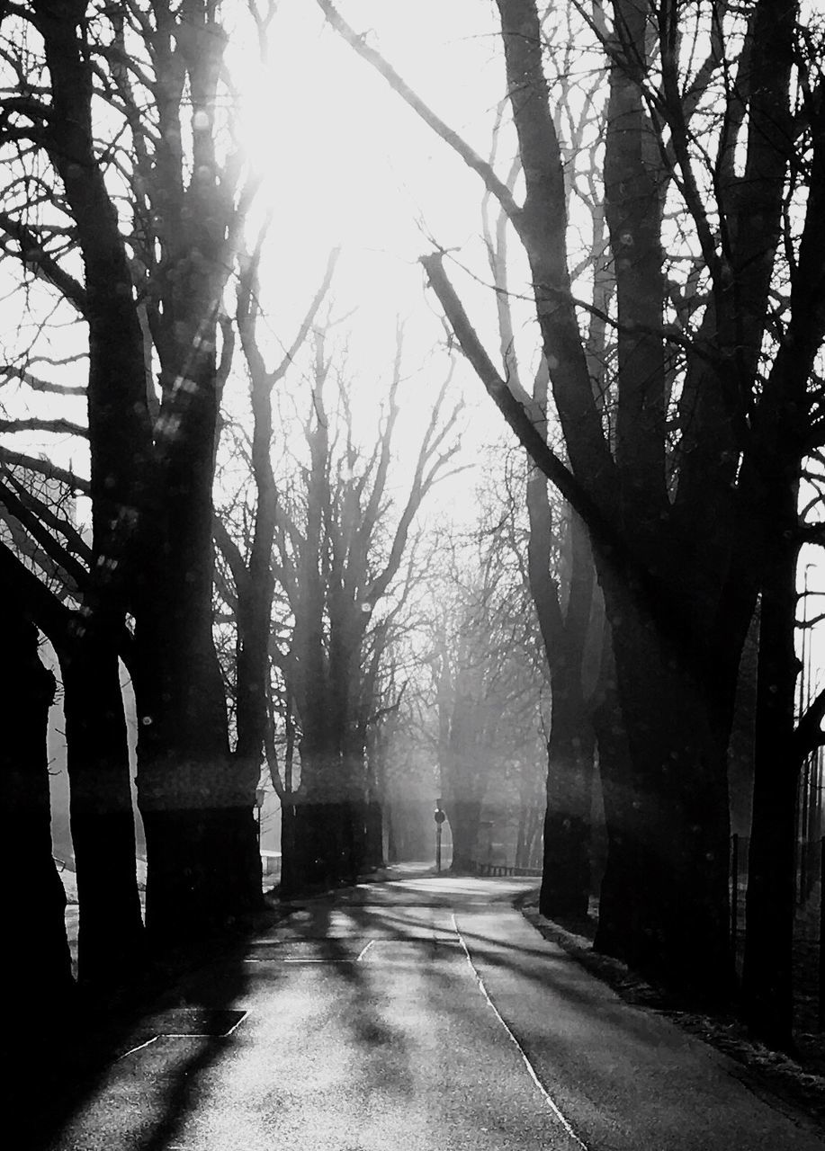 EMPTY ROAD WITH TREES IN BACKGROUND