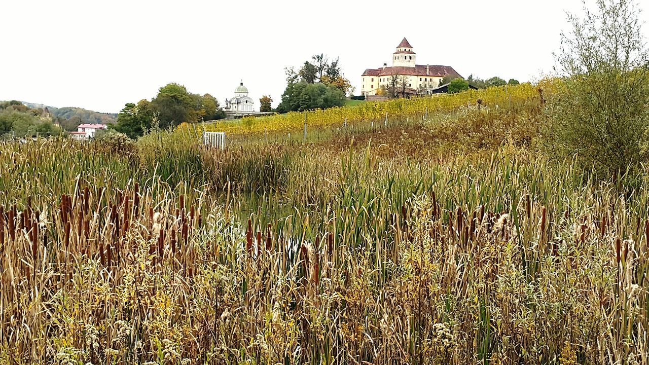 VIEW OF RURAL LANDSCAPE