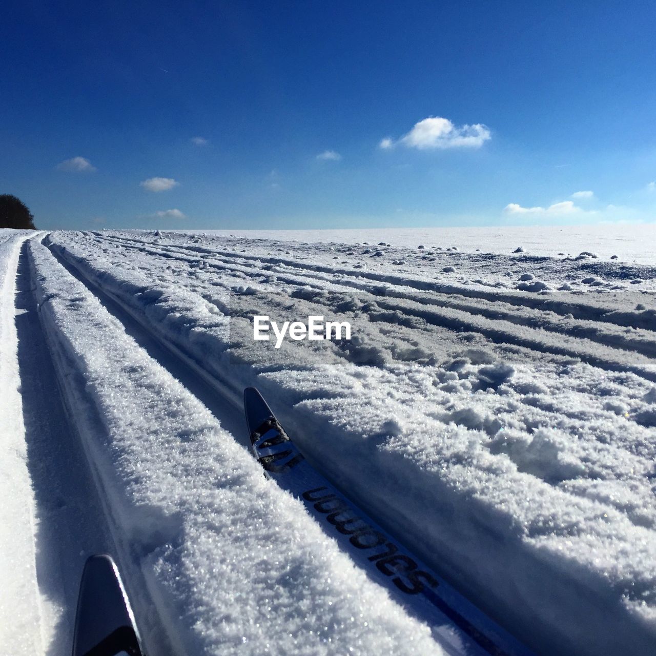 Surface level of snow covered landscape