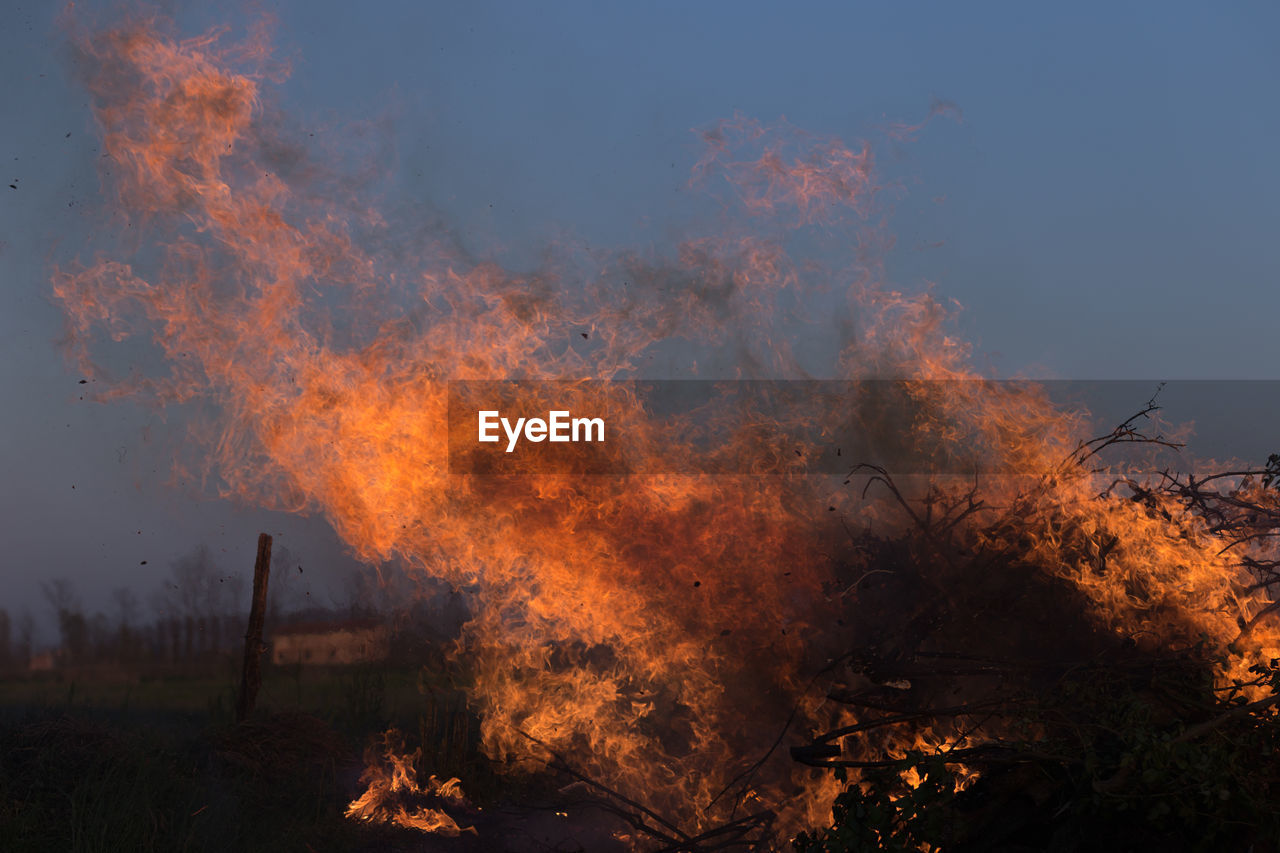 AUTUMN TREES AGAINST SKY WITH FIRE