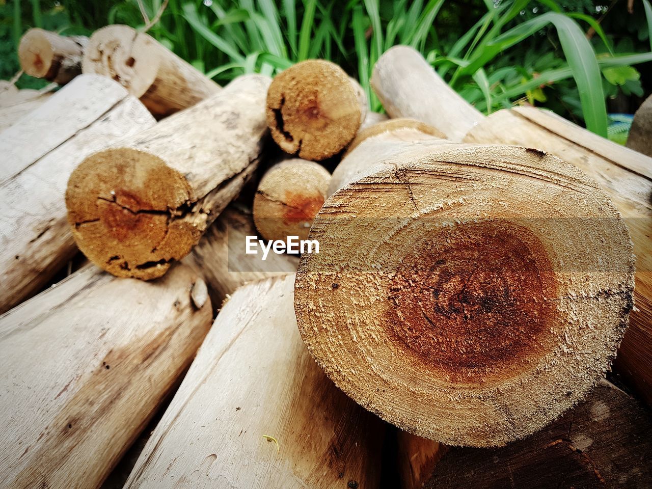CLOSE-UP OF FIREWOOD