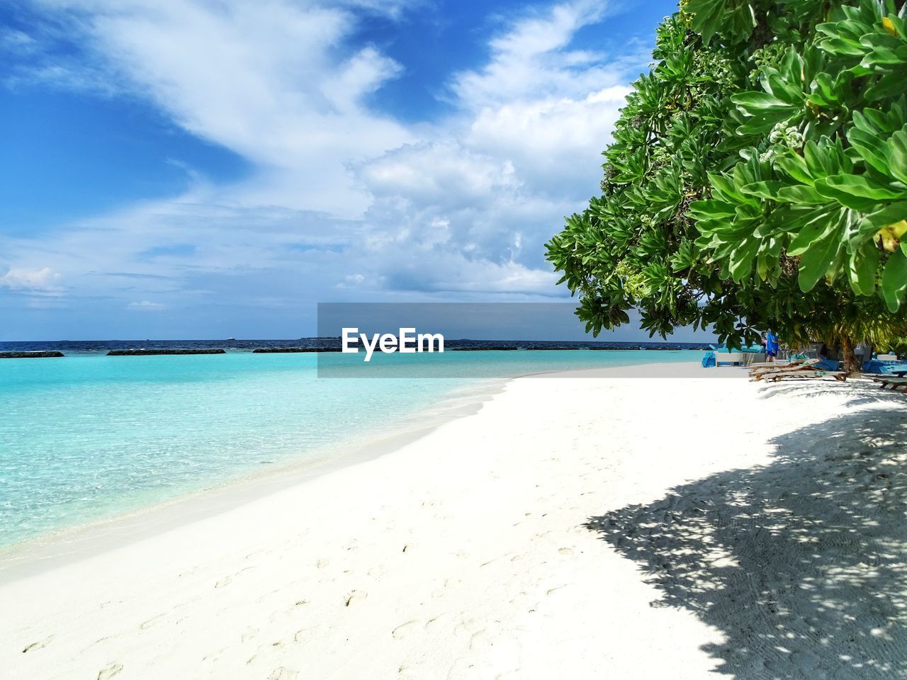 SCENIC VIEW OF BEACH