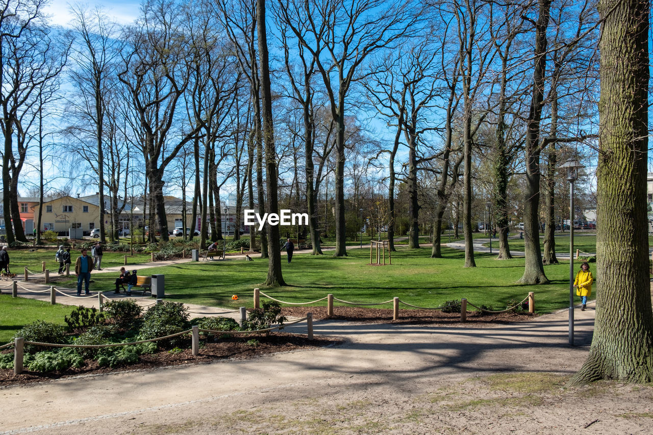 PARK BENCH BY TREES AGAINST SKY IN BACKGROUND