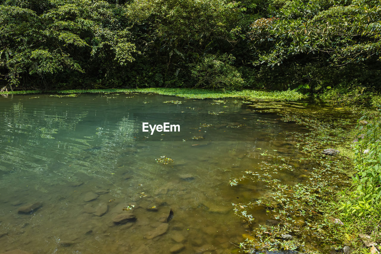 VIEW OF A LAKE